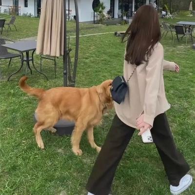 王者之心